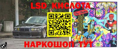 стаф Кунгур