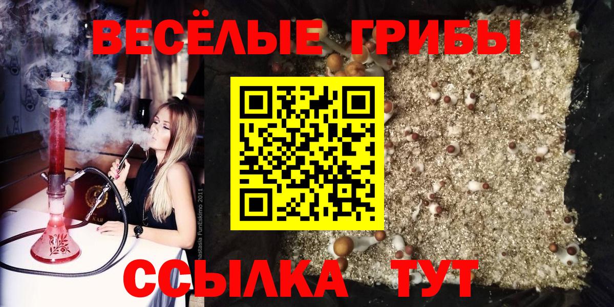 Галлюциногенные грибы ЛСД  Галлюциногенные грибы Psilocybine cubensis  Ухта  Вход с VPN 